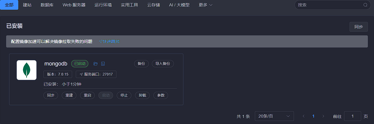 image-20241212142038839