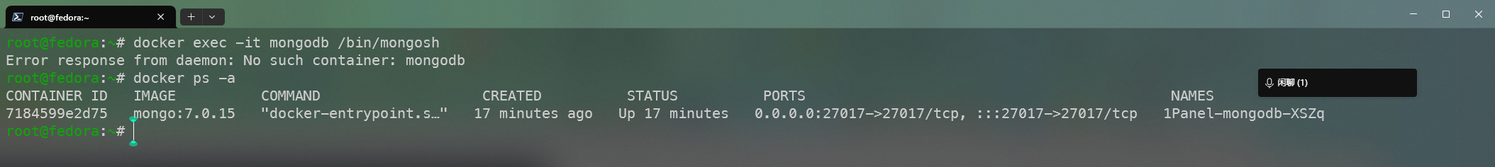 image-20241212144038048