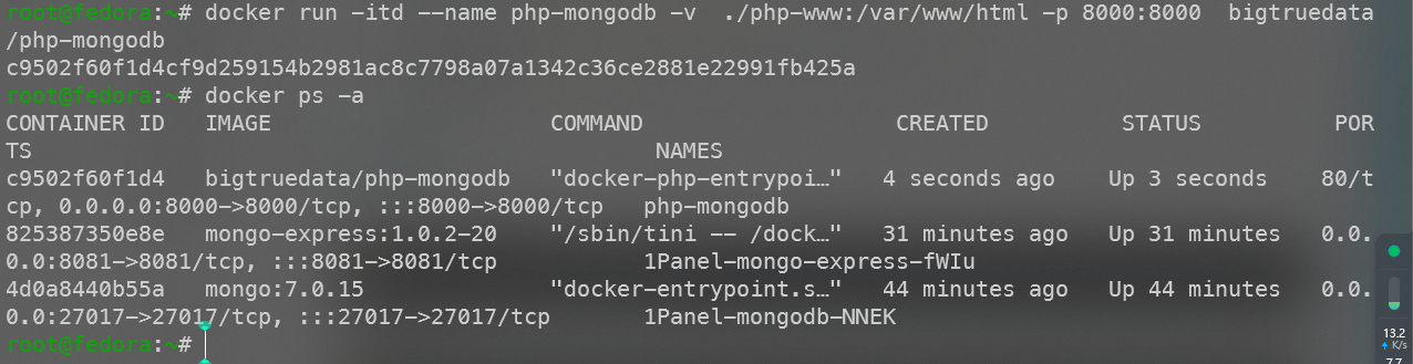 image-20241212153406450