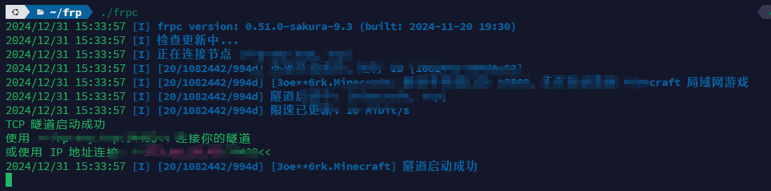 image-20241231153435531