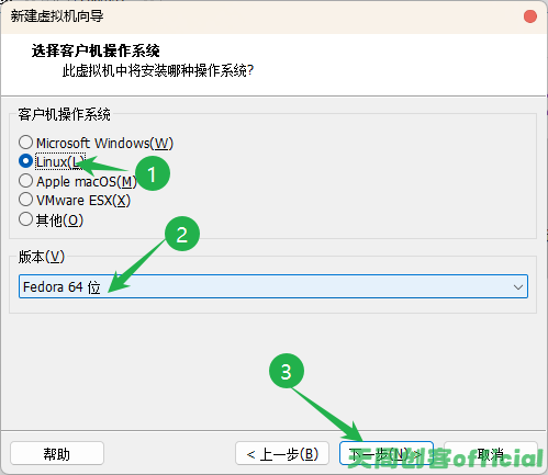 image-20250208165628107