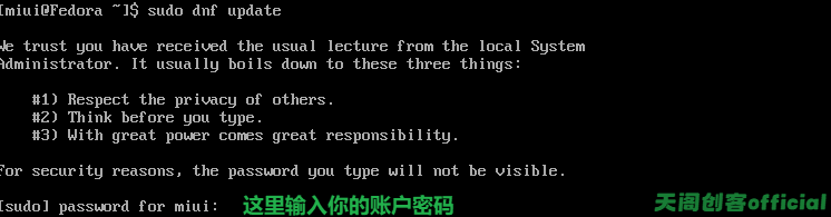 image-20250209172758630