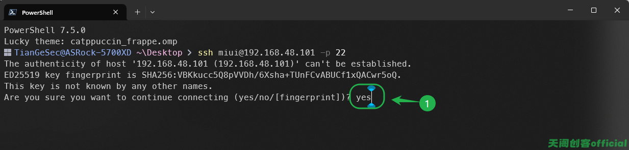 image-20250209173738874