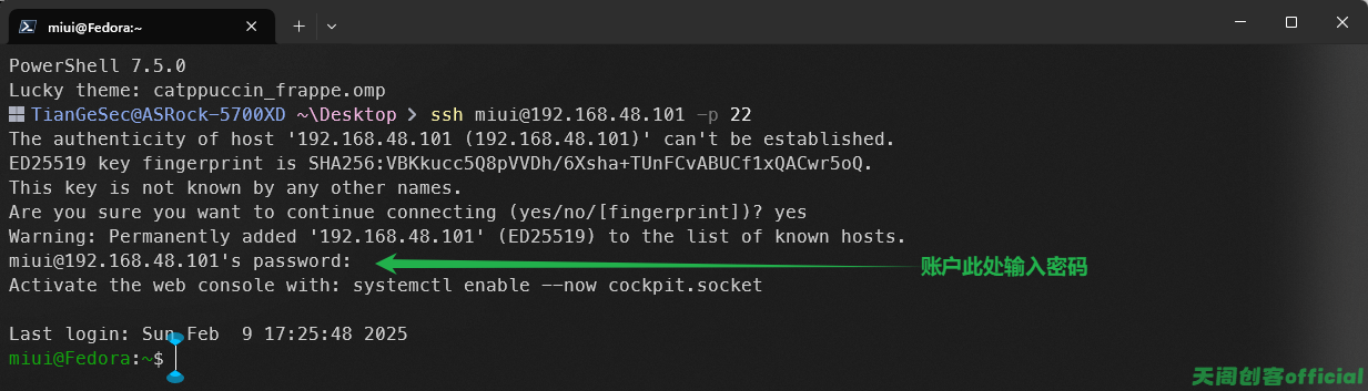 image-20250209173843884