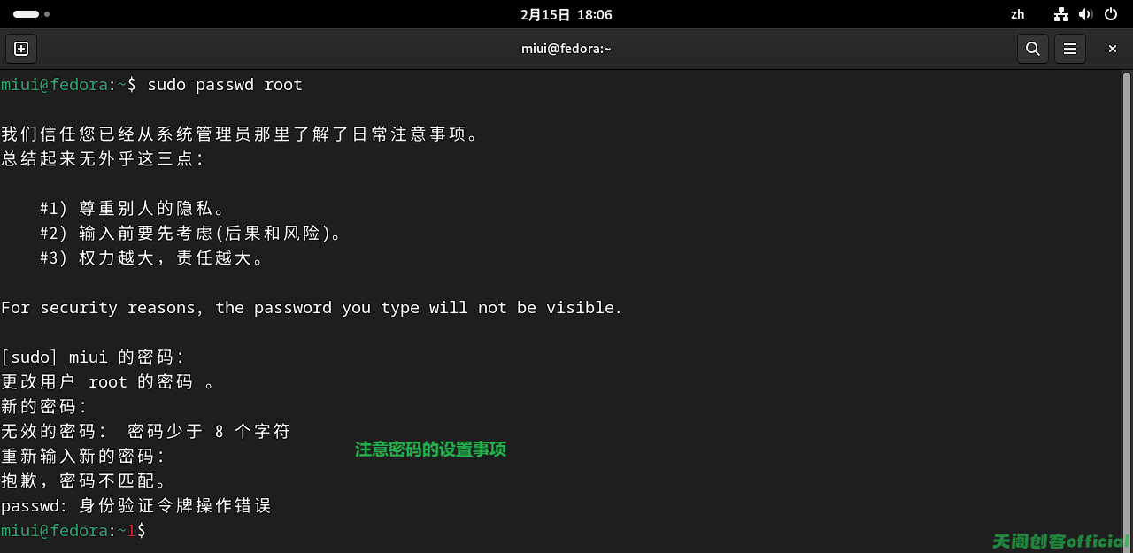 image-20250215180721719