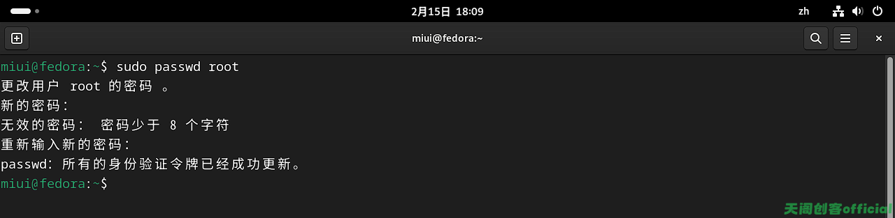 image-20250215181003847