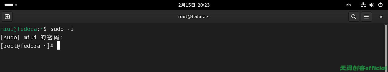 image-20250215202354694