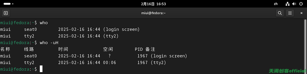 image-20250216165356706