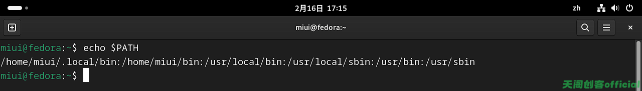 image-20250216171530740