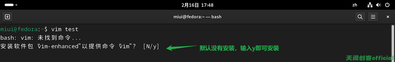 image-20250216174849965