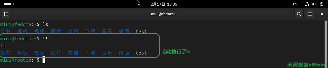image-20250217133544133