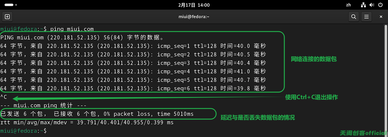 image-20250217140054948