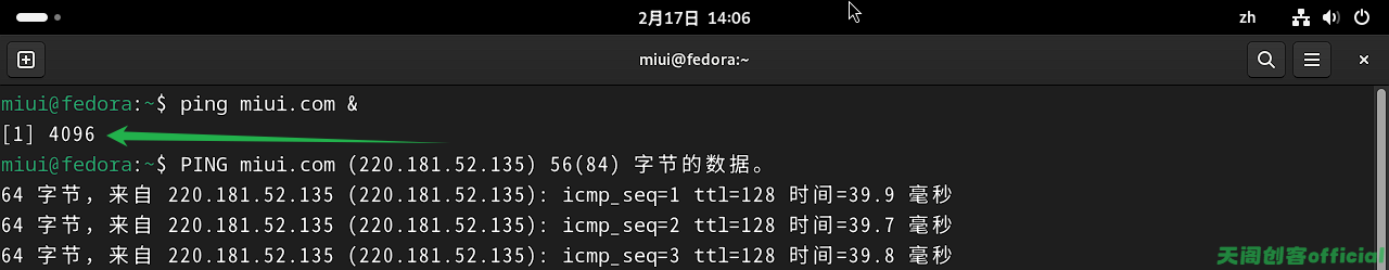 image-20250217140700530