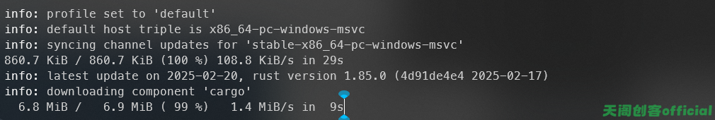 image-20250311213727345