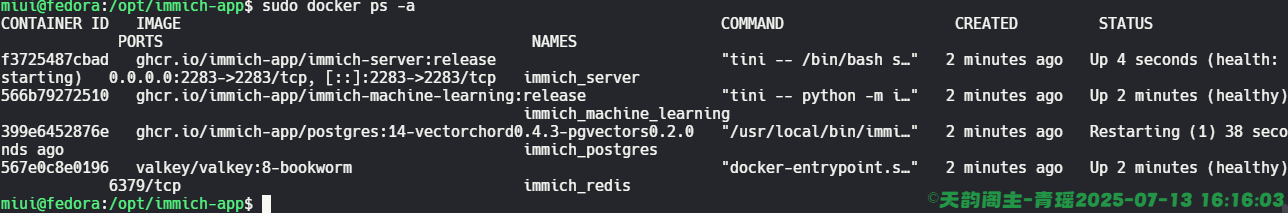 image-20250713161612701