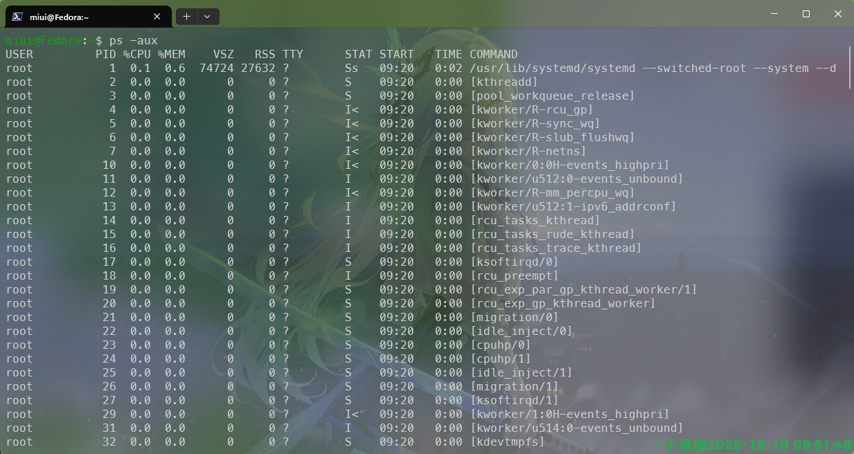 image-20251210095151787