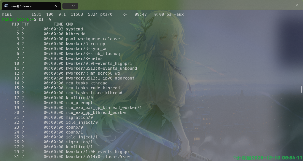 image-20251210095415674