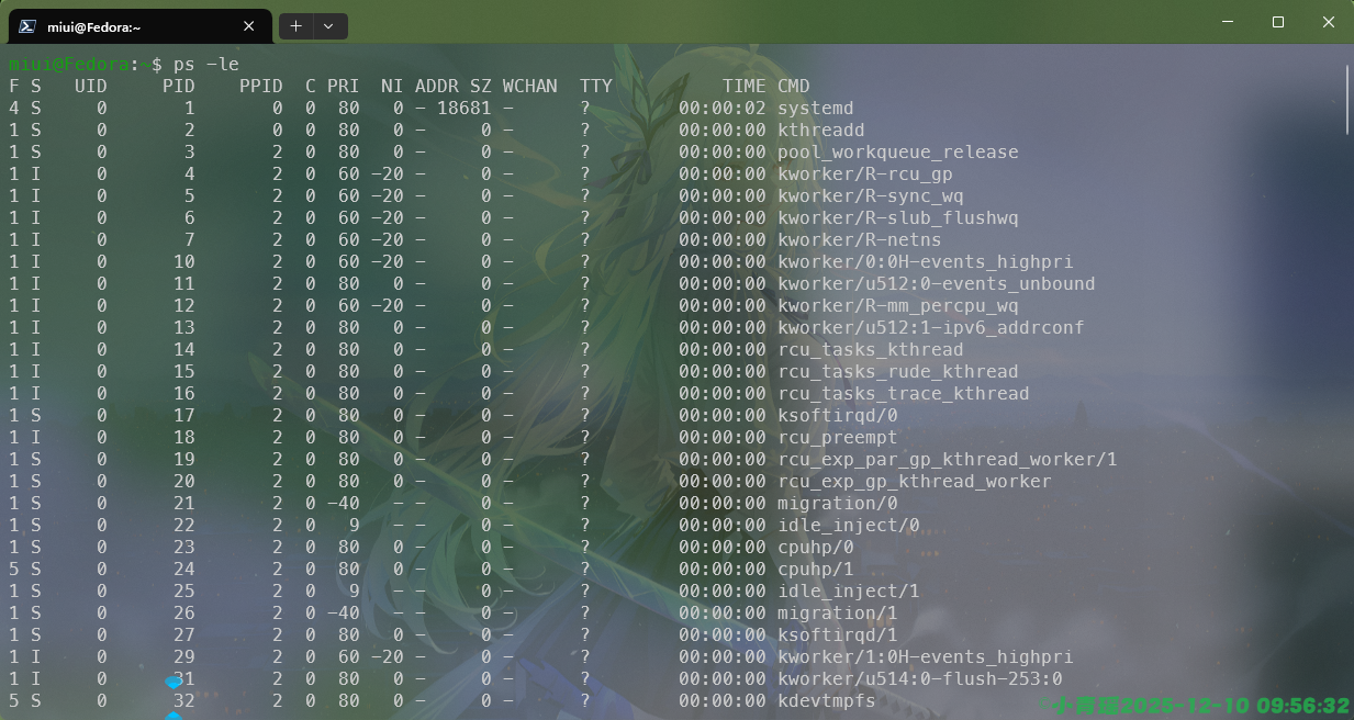 image-20251210095658462