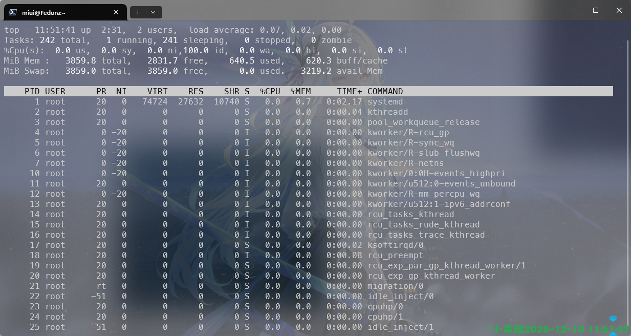 image-20251210115150578