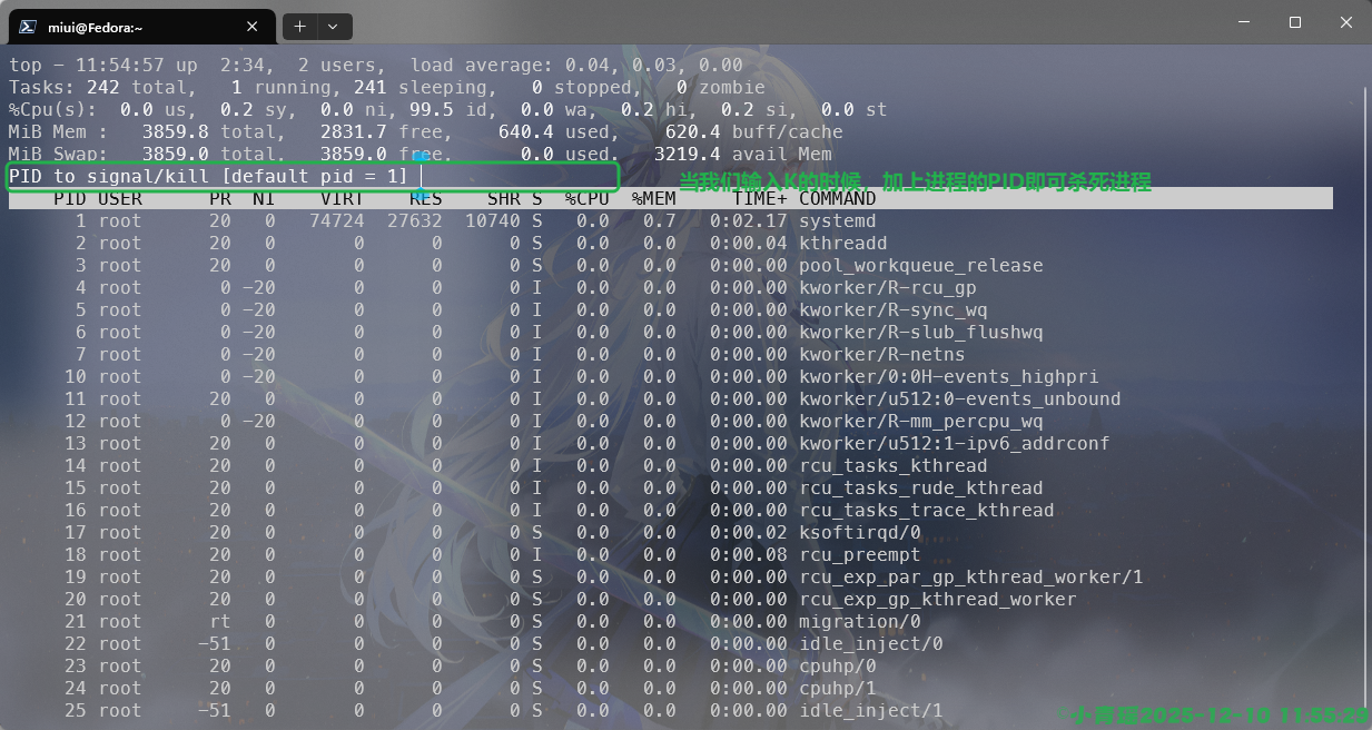 image-20251210115543717