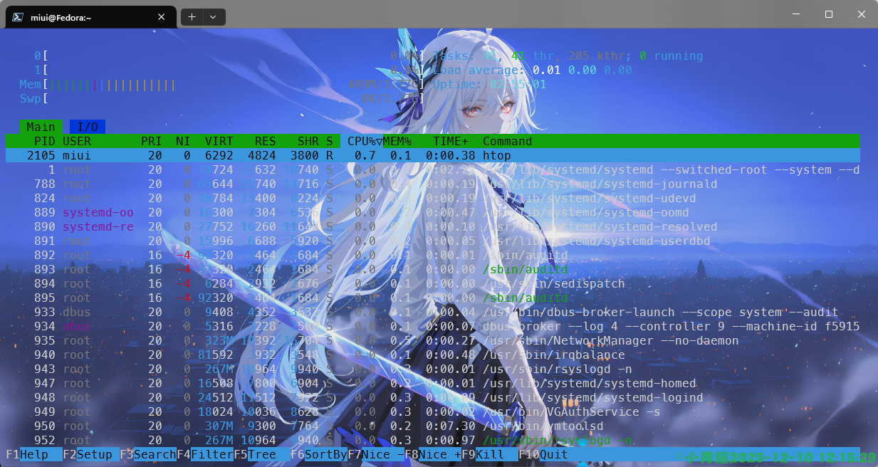 image-20251210121533650