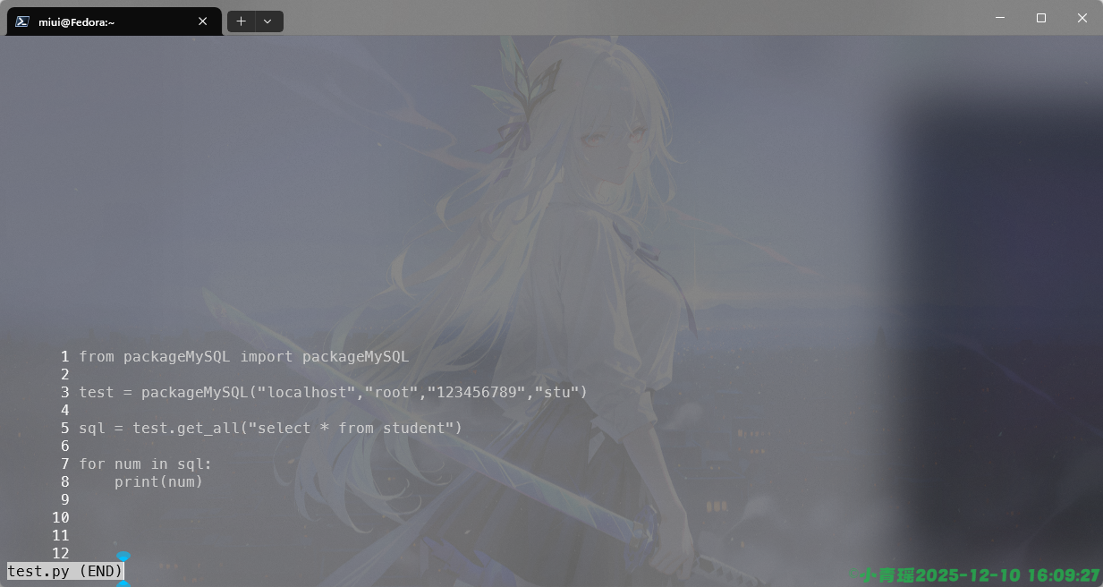 image-20251210161009587