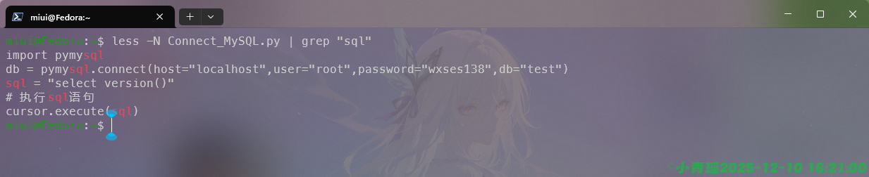 image-20251210162104527