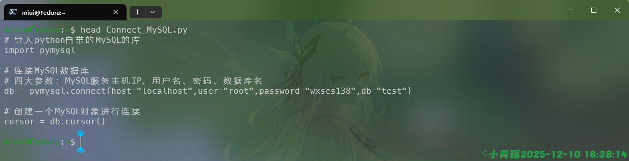 image-20251210163825619