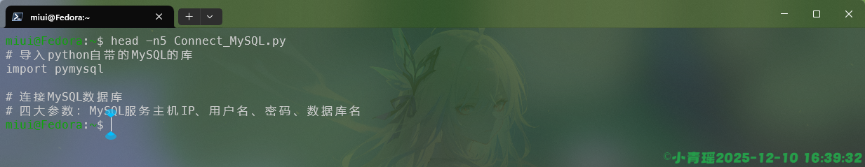 image-20251210164027584