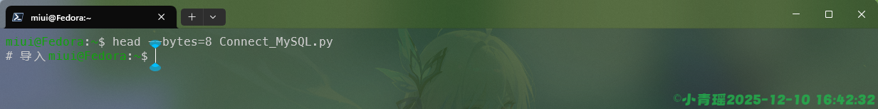 image-20251210164322196