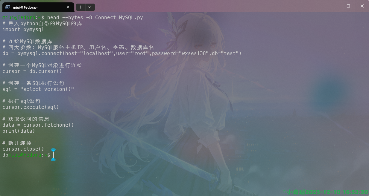 image-20251210165359705