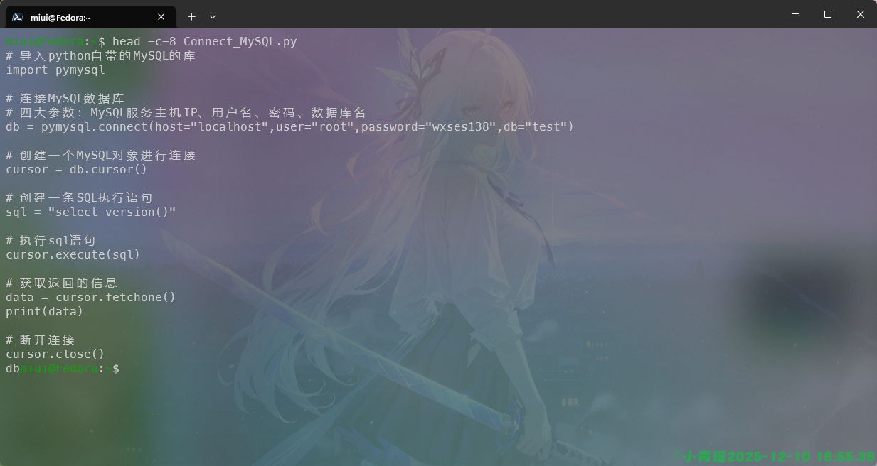 image-20251210165540812