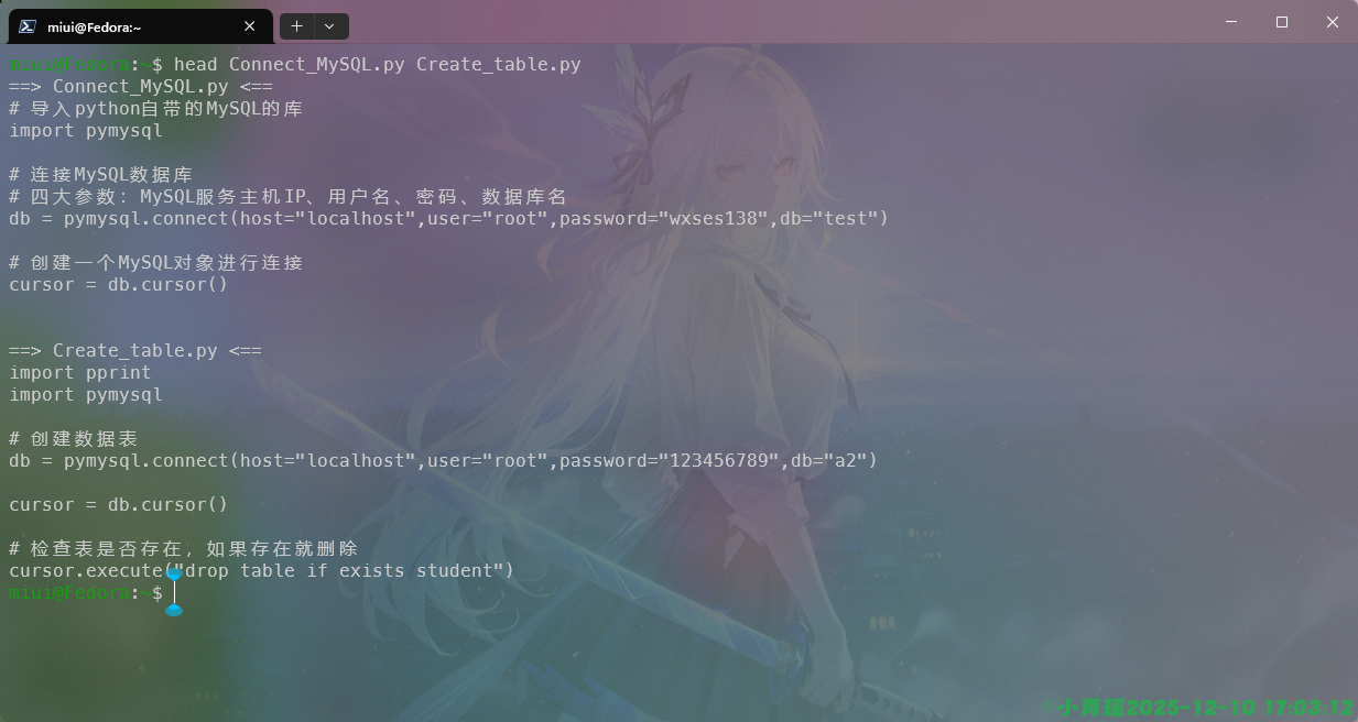 image-20251210170323711