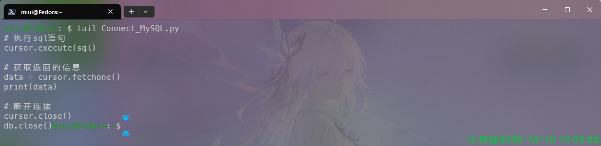 image-20251210170530271