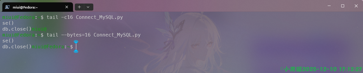 image-20251210171229460