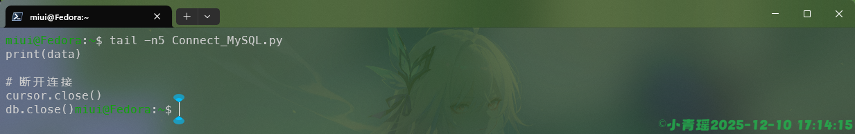 image-20251210171434852