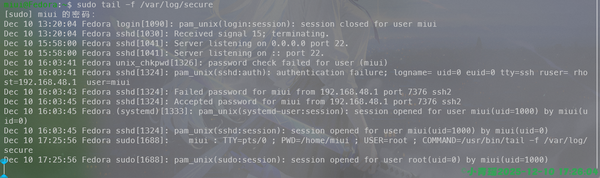 image-20251210172609058