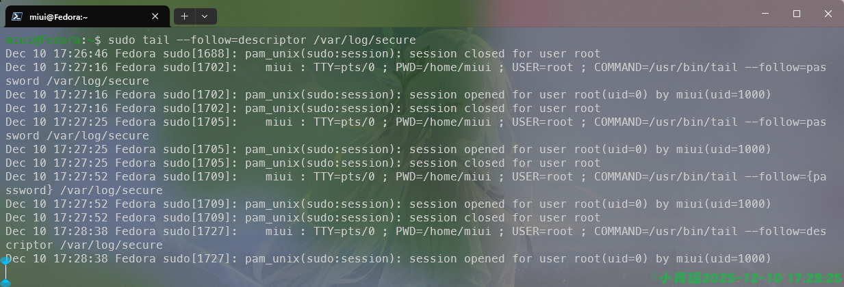 image-20251210172927526