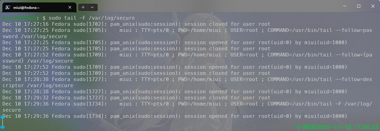 image-20251210173027322