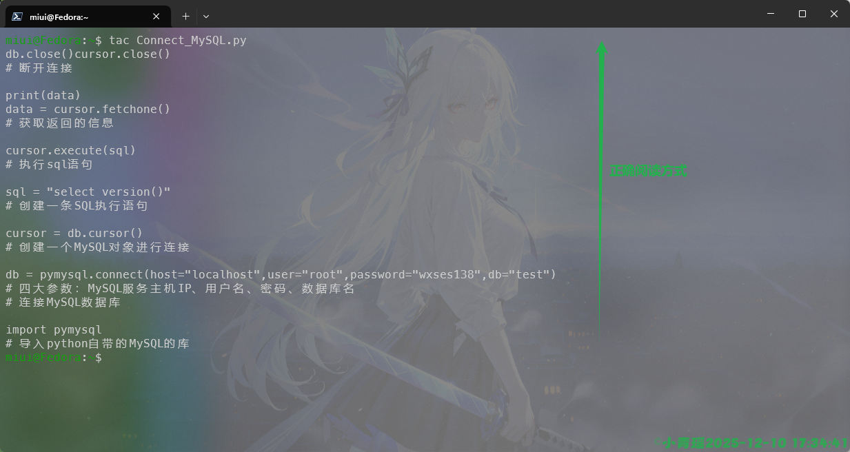 image-20251210173525122