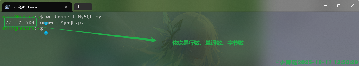 image-20251211135056016