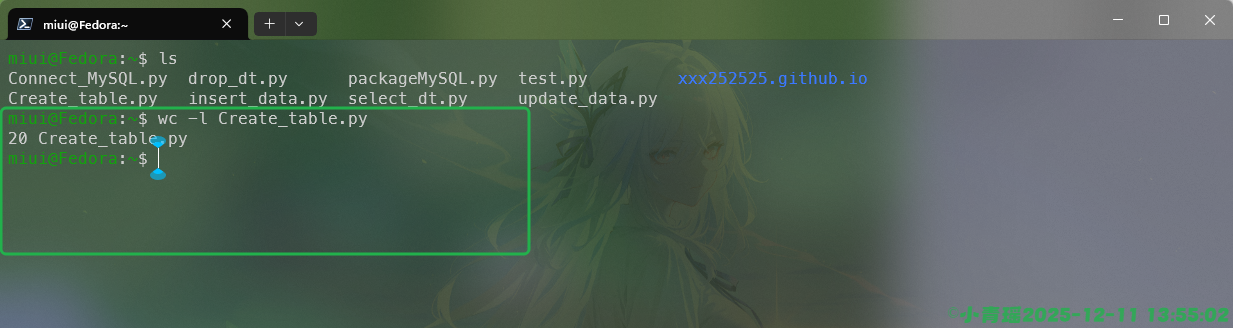 image-20251211135505765