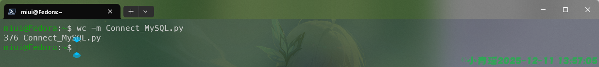 image-20251211135707183