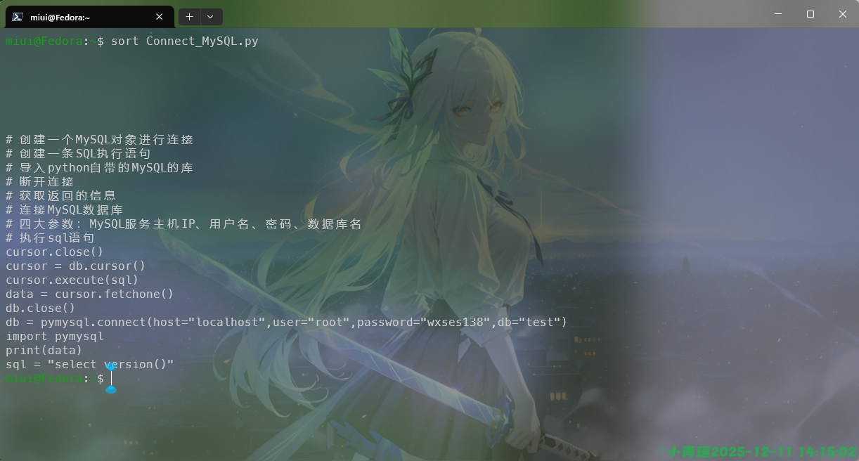 image-20251211141504642