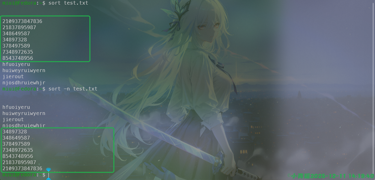 image-20251211141941950