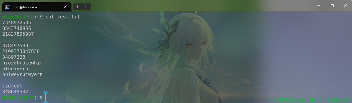 image-20251211142057295