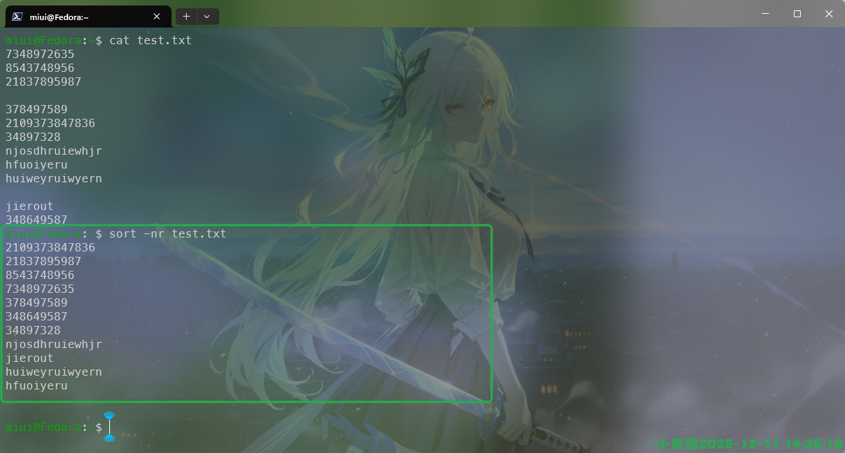 image-20251211142619951