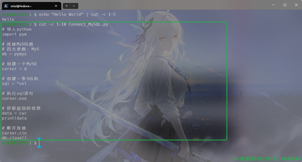 image-20251211195546682