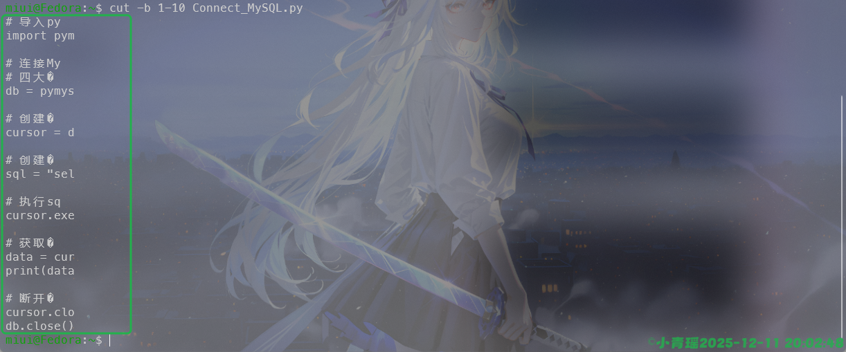 image-20251211200255892