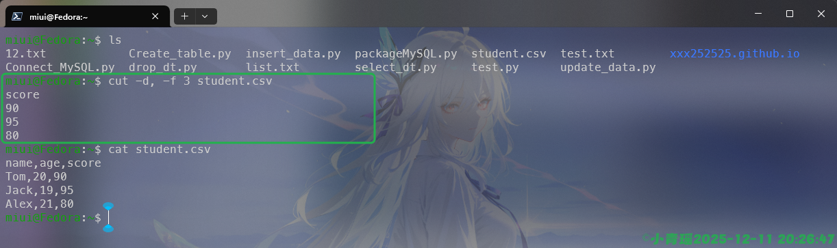 image-20251211202650923